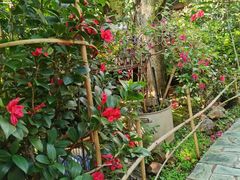 -阳光山水江湖菜馆(西山龙门店)