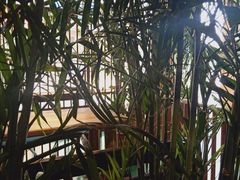 -八月美食小馆(银泰城总店)