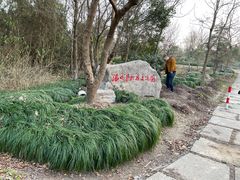 -上海海湾国家森林公园