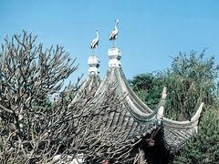 -南沙蒲洲花园