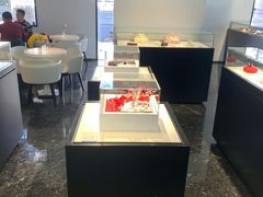 -BLACKSWAN黑天鹅(环球店)