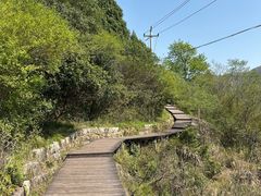 -大罗山风景区