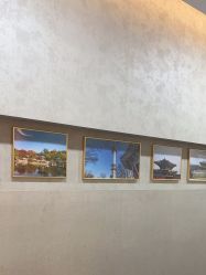 -上海首尔丽格医疗美容医院