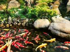 -罗红摄影艺术馆