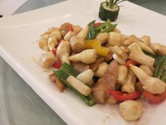 泡藕炒猪颈肉-朱仔记食府(江南大道店)