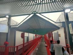 -巩本明鱼屋子