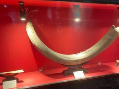 -抚顺煤矿博物馆