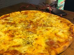 -百好乐宠物友好餐厅(朝外大街店)