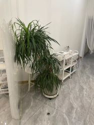 -爱睫物语·疗愈美睫美甲