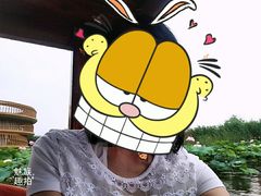 -荷塘月色湿地公园·向阳花洲