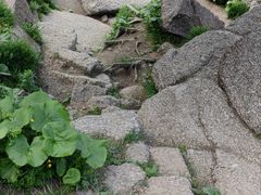 -芦芽山旅游度假区