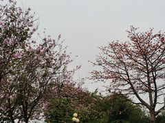 -东山湖公园
