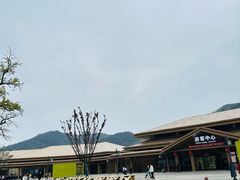 -千年银杏谷文化旅游区