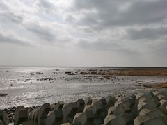 -碧海金沙
