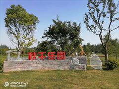 -黄海国家森林公园