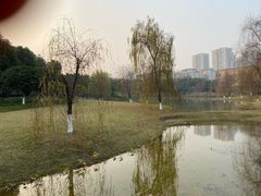 -沐仙湖湿地公园