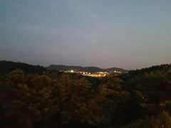 -羊山湖公园