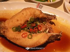 鲜花椒油浸笋壳鱼-侨美食家·粤菜(体育西路店)