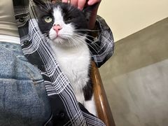 -原田新料理(1912店)