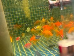 -辛香汇·现炒川菜(城北万象城店)