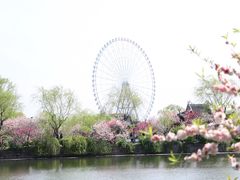 -山明水秀大饭店