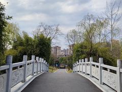 -洋湖国家湿地公园