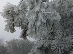 -南岳衡山风景名胜区-南岳大庙