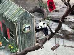-宁波野生动物园