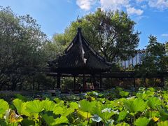 -上海醉白池公园