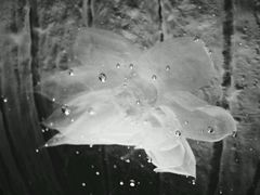 -上海琉璃艺术博物馆