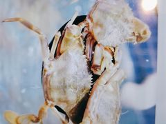 -小天鹅戴斯酒店鲸鲨百汇创作料理