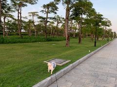-芒洲湿地公园