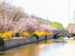 景点-海棠花溪(元大都城垣遗址公园)