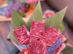 -乐焰活海鲜放题活罗氏虾活鳗和牛烧肉(海珠客村店)