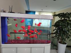 -成都军建医院·疤痕诊疗中心