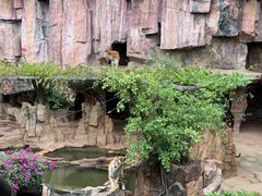 -长鹿旅游休博园
