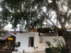 -悦哉·派对·草坪婚礼·围炉煮茶(三圣乡店)