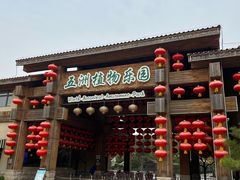 -南宫五洲植物乐园