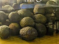 -油梨树AVOCADO TREE(嘉里中心店)