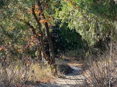 -北京西山国家森林公园