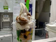 -Salud撒露欧洲冻酸奶(蓝色港湾店)