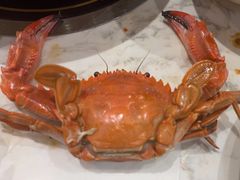 -半岛听涛蒸汽海鲜自助(K11店)