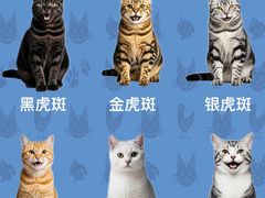 -小猫来了·猫舍(红山六九七九店)