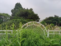 -国家植物园南园