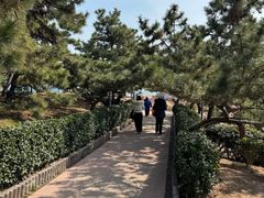 -青岛海滨风景区