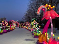 -沈阳奥体冰雪嘉年华