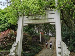 -苏州上方山国家森林公园