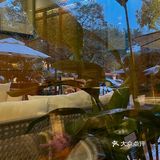 东莞东城探店｜黄旗山脚下的海鲜大咖[礼花]