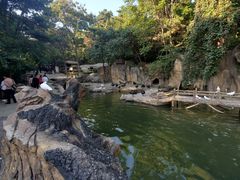 -燕塞湖鸟语林景区