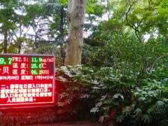-静安公园(静安寺街道)